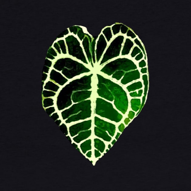 Urban Soule Anthurium Leaf Logo by urbansoule